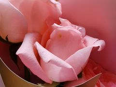 -慕芝蛋糕(湖墅南路店)