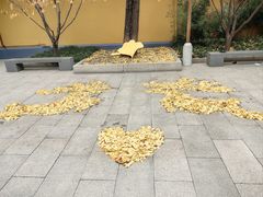 -龙华素斋(龙华路店)