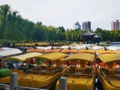 -莲花池公园