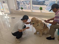 -北京观赏动物医院·24小时大型综合·猫专科·异宠专科