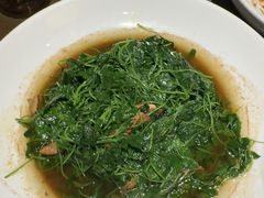 -吴越荣记苏州菜·松鼠桂鱼100%活鱼现做(斜塘老街店)