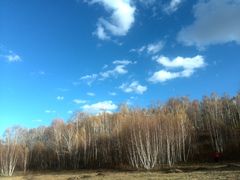 -塞罕坝国家级自然保护区