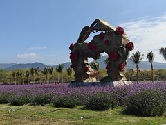 -亚龙湾国际玫瑰谷