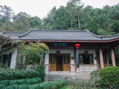 -十八棵（老龙井）御茶园(老龙井店)