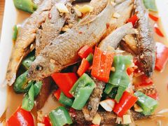 瑶河小鱼-瑶河山里菜