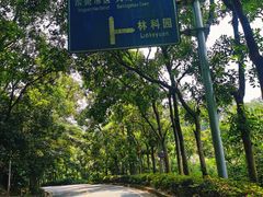 -东莞市大岭山森林公园