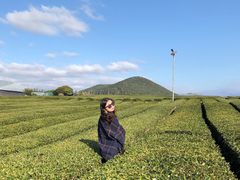 -雪绿茶博物馆