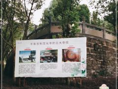 -灵光寺