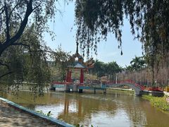 -金砂公园