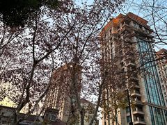 -清真·玛丽亚新疆菜主题餐厅(浙江中路店)