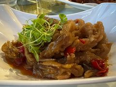 -云中小雅