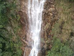 -九龙江国家森林公园