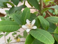 -中山大学中山眼科中心(珠江新城院区)