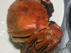 -御盛苑富隆汇·传承川菜·商务简餐(江北嘴店)