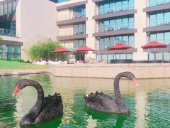 -行者书屋大堂吧 ·下午茶(南京圣和府邸酒店)