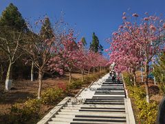 -盈香心动乐园