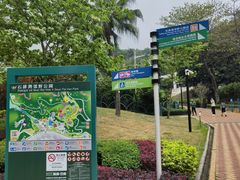 -石排湾郊野公园
