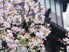-盘门景区