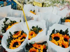 -循礼门鲜花花市(武汉循礼门店)