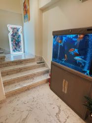 -海涛医疗美容·面部抗衰·注射美鼻