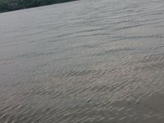 -西湖游船