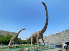 -安徽省地质博物馆