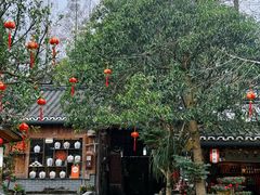 -青城甲(青城山店)