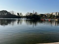 -新江湾城公园