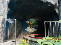 -南宫五洲植物乐园