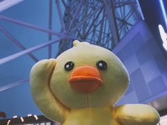 -南昌之星摩天轮