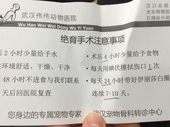 -伟伟宠物医院·CT影像中心·瑞派犬猫综合性门诊(汉口总院)