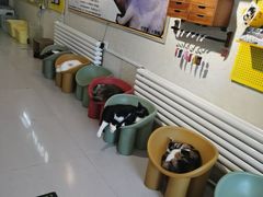 -平行世界·猫咖(首经贸店)