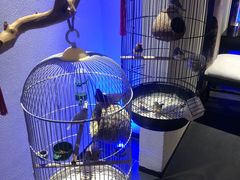 -悦融·京鲁菜·露台花园(安定门店)