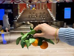 -皇室假期美食水疗会(春风路店)