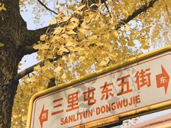 -三里屯东五街银杏大道