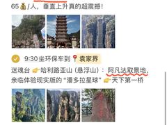 -富正毅三下锅·湘西韵味(天门山索道店)
