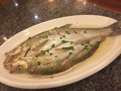 -沈厅酒家(周庄店)