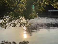 -西湖外事游船(花港观鱼码头)