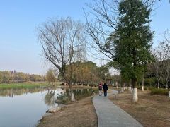 -洋湖国家湿地公园