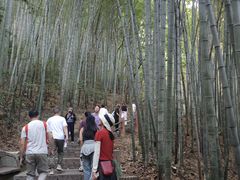 -敬亭山风景名胜区