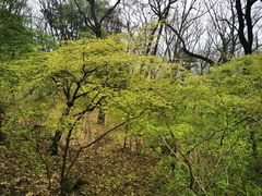 -终南山南五台景区