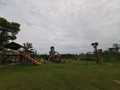 -上海长兴岛郊野公园