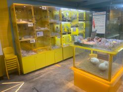 -神奇动物撸宠馆·羊驼·小浣熊·异宠(豫园店)
