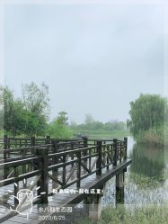 -水八仙生态园