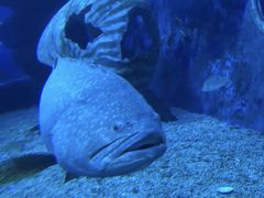 -多彩贵州城极地海洋世界