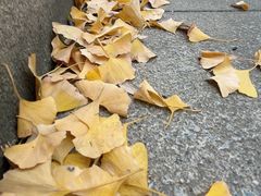 -重元寺香积厨素斋馆