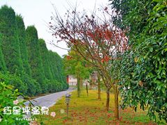 -红星坪温泉精品酒店