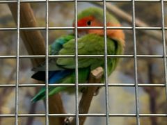 -燕莎奥特莱斯购物中心