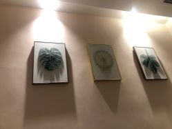 -倩极·精研痘敏肌管理