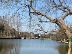 -常德桃花源景区